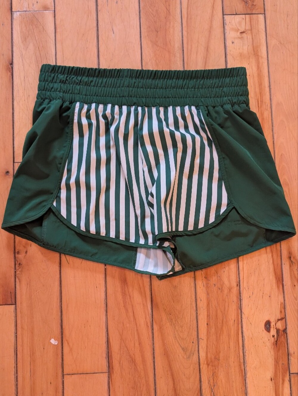 Beach Riot Emerald Shorts with Striped Lining - Free People Collab